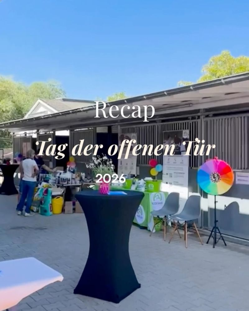 #TagDerOffenenTür, #Pferdeklinik, #Pferdegesundheit, #Recap, #Tiermedizin